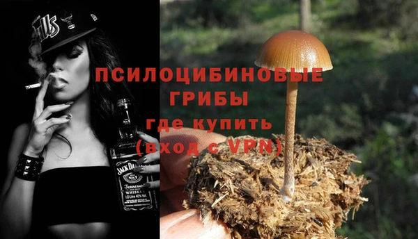 мескалин Белокуриха