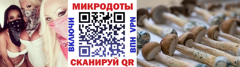 Галлюциногенные грибы Magic Shrooms  продажа наркотиков  Первомайск 
