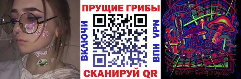 Псилоцибиновые грибы мицелий Первомайск